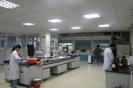 網(wǎng)購 超越優(yōu)惠的信任橋梁——檢測服務(wù)的力量